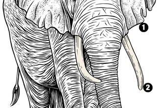 ZooHackathon-ELEPHANT TRACKING SYSTEM