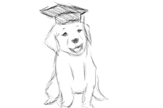 The Rufftastic Adventures