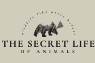 The Secret Life of Animals