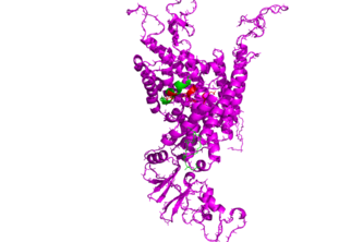Center & scale molecular dynamics coordinates for PCA
