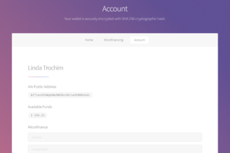 Microfinancia Ethereum
