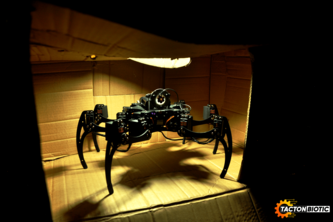 Tacton Biotic Project Hexatron
