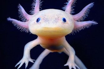 HackSoCal Space Exodus