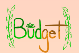Budget