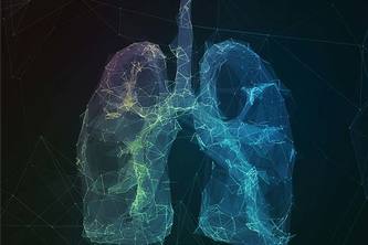 I'm a mentor (coaching,agility,scrum &bodyhacking)