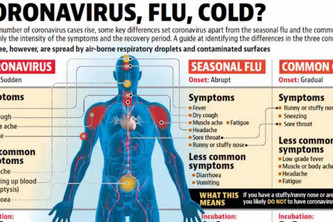 World Health Organization news on coronavirus effected 