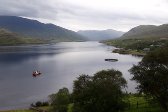 How to use Facebook to eat local products during crisis