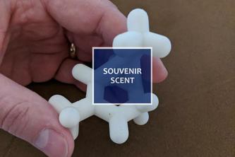 Souvenir Scent