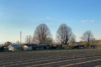 Strukturelles Wachstum beeinflussen