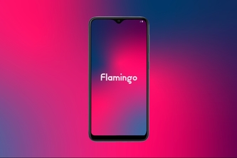 Flamingo Money Transfer