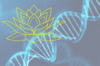 TerraForX Medical Channel