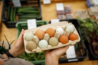 Wanted! Seasonal workers in agriculture.