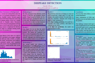 Deepfake Detection 