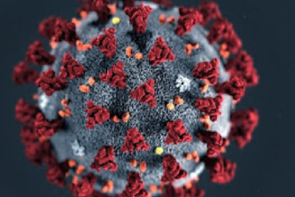coronavirus 