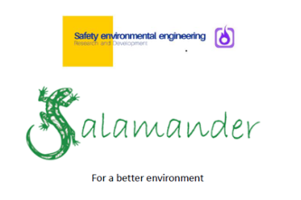 Salamander 