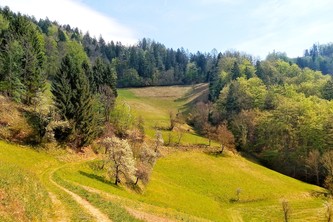 Outdoor/Adventure Education during and after Corona