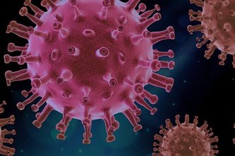 COVIDSIM PANDEMIC SIMULATOR