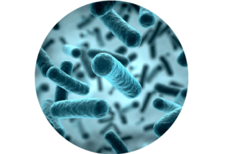 BATP® versus Covid-19