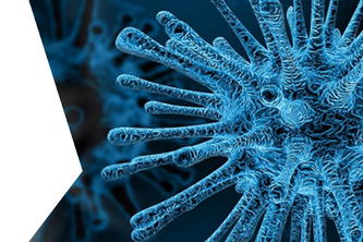 EU Covid19 Biorepository