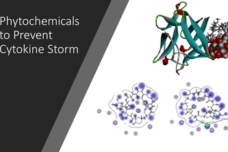 Preventing Cytokine Storm
