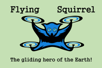 Flying Squirrel
