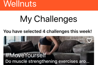 Wellnuts: tiny lifestyle challenges for healthy teleworking!