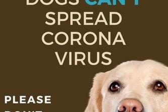 Bir Can/One Life Animal Welfare During Pandemic