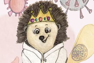 Hannah Hedgehog and the COVID-19 Pandemic