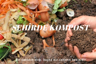 Şehirde Kompost 