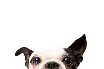 NEWS4SCHOOL (früher: Schule in den Nachrichten)