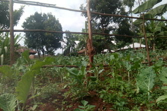 Provision of virtual/online based skills to youths to earn