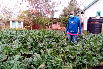 S KITCHEN GARDEN (EAT MORE GREENS KEEP HEALTHY CAMPAIGN)  