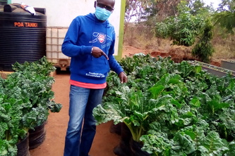 WATER EFFICIENT HYDROPONICS KITCHEN GARDEN PROJECT.