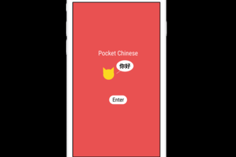Pocket Chinese