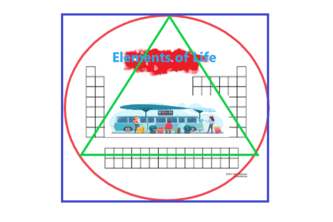 Elements of Life video game