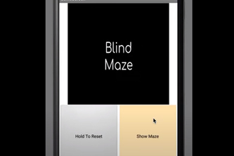 Blind Maze