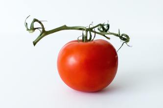 Pomodoro Study Timer