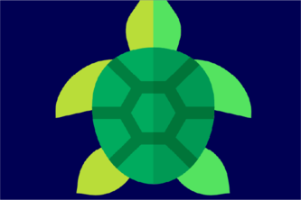 Turtles