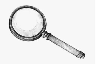 Followers/Following Search Bar