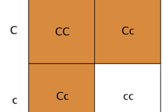 Phenotype Likelihood Calculator