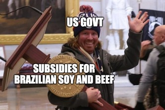 Operation: Stop the STEAL