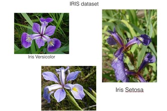 Iris Dataset Analysis