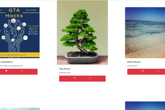Social Media Web App