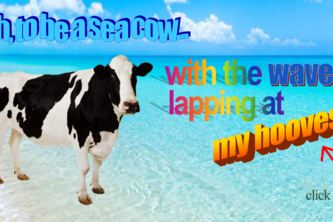 oh, to be a seacow...