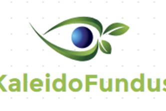 KaleidoFundus