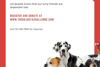 Save the Animals