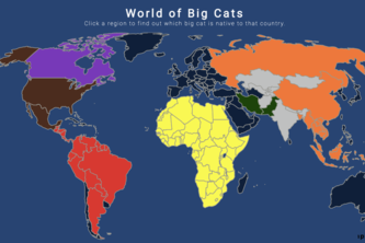 World of Big Cats | Devpost