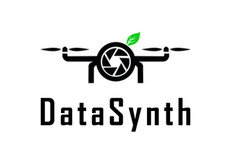 DataSynth