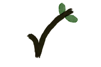 Sustainability Check Chrome Extension