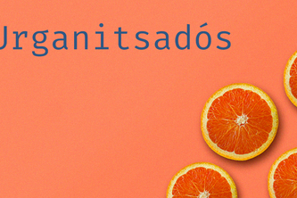 AI Hack Submission - Urganitsadós